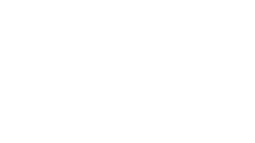 Nyla Logo